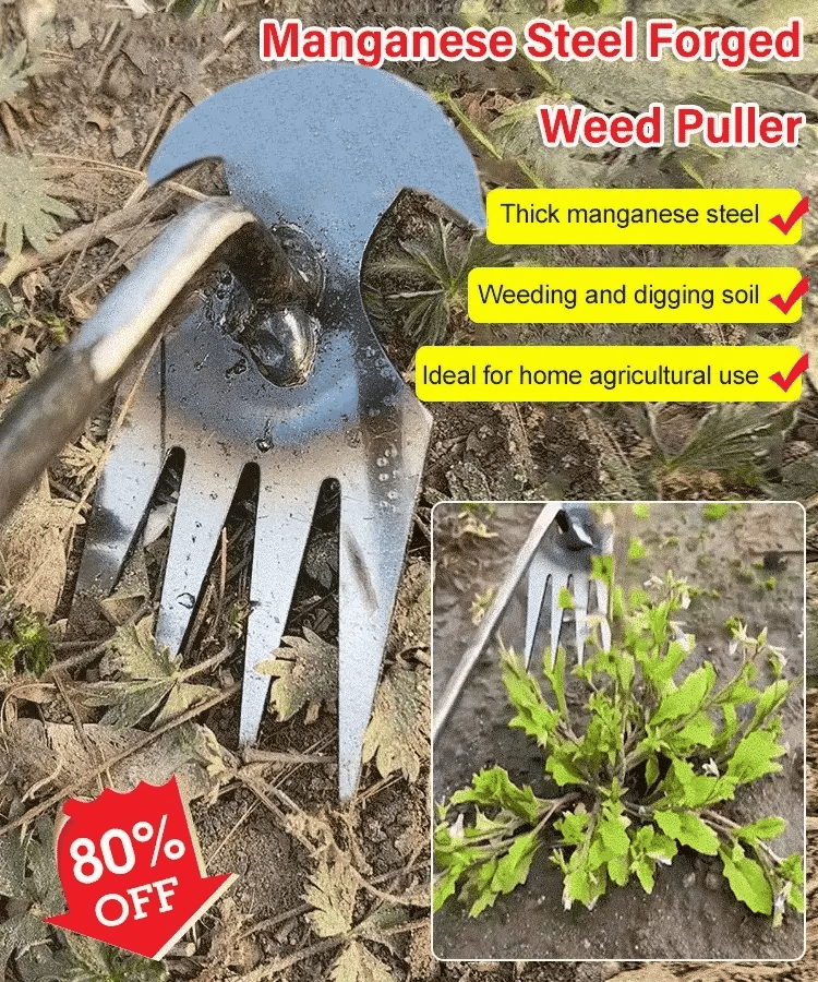 WeedMaster™ - Ihr ultimativer Unkrautentferner