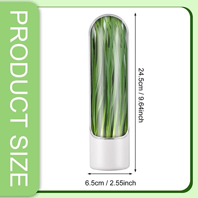 HerbaFresh™ VitaPod – So bleiben frische Kräuter bis zu 3 Wochen lang grün & aromatisch