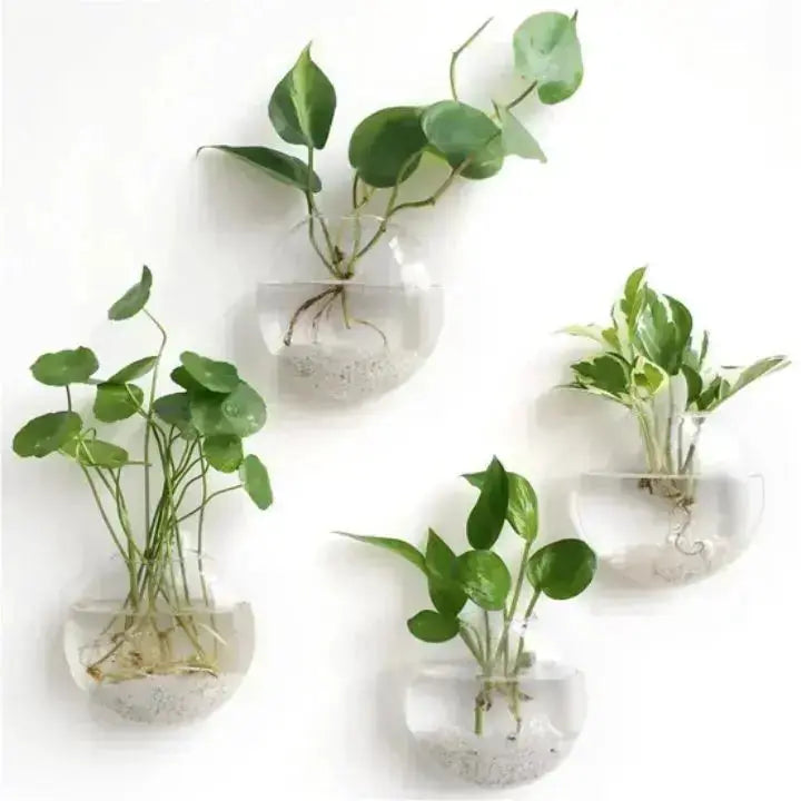 1+1 Gratis | VerdeLux Wandvase – Eleganter Glas-Blumentopf für lebendige Wände