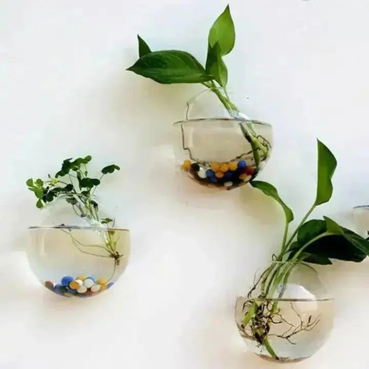1+1 Gratis | VerdeLux Wandvase – Eleganter Glas-Blumentopf für lebendige Wände