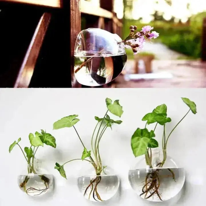 1+1 Gratis | VerdeLux Wandvase – Eleganter Glas-Blumentopf für lebendige Wände