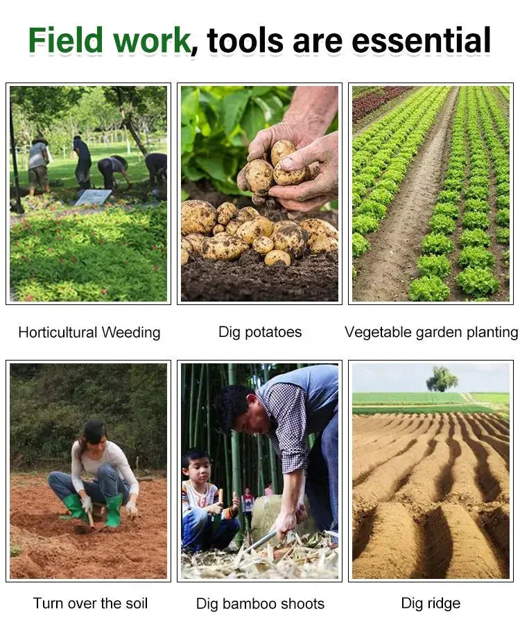 WeedMaster™ - Ihr ultimativer Unkrautentferner