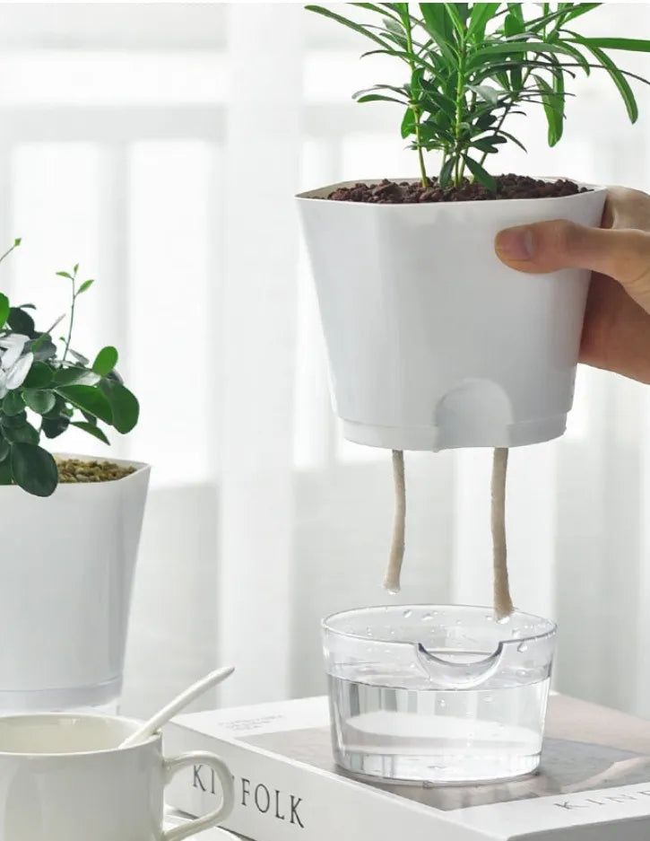 HydroEco™ | Selbstbewässerungstopf mit integriertem Wasserreservoir