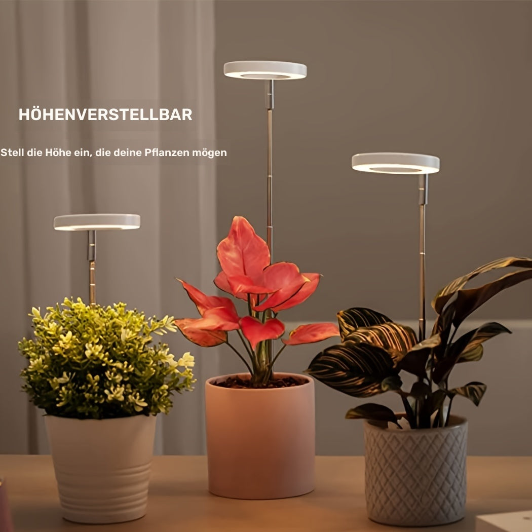 HaloAngel™ – Licht, das Ihre PflanzHaloAngel™ LED-Pflanzenlampe – Vollspektrum Licht für gesundes Wachstum | Nur Heute 50% RABATT