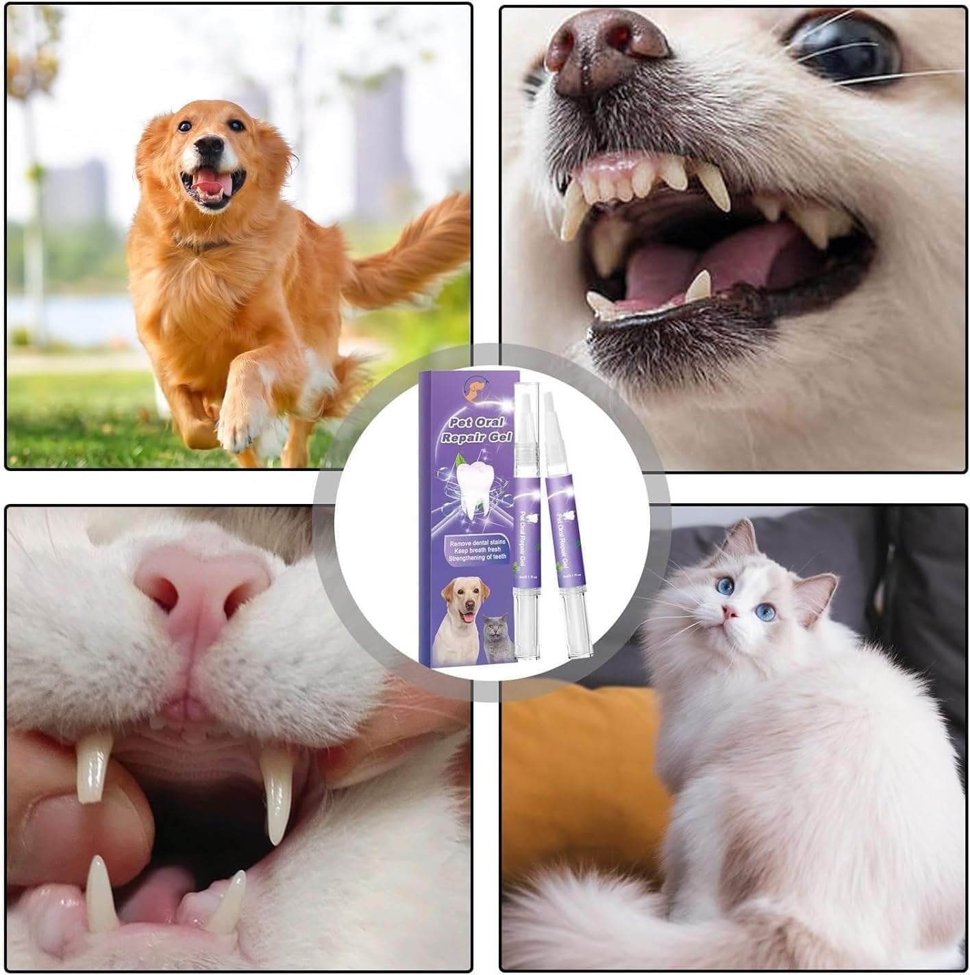 FreshPaws DentalGel™ – Sanfte Zahnpflege & frischer Atem für Ihr Haustier | 1+1 GRATIS