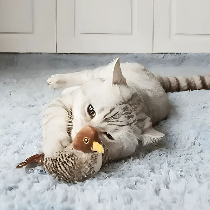1+1 GRATIS | FuzzyTweet™ | Interaktives Katzenspielzeug