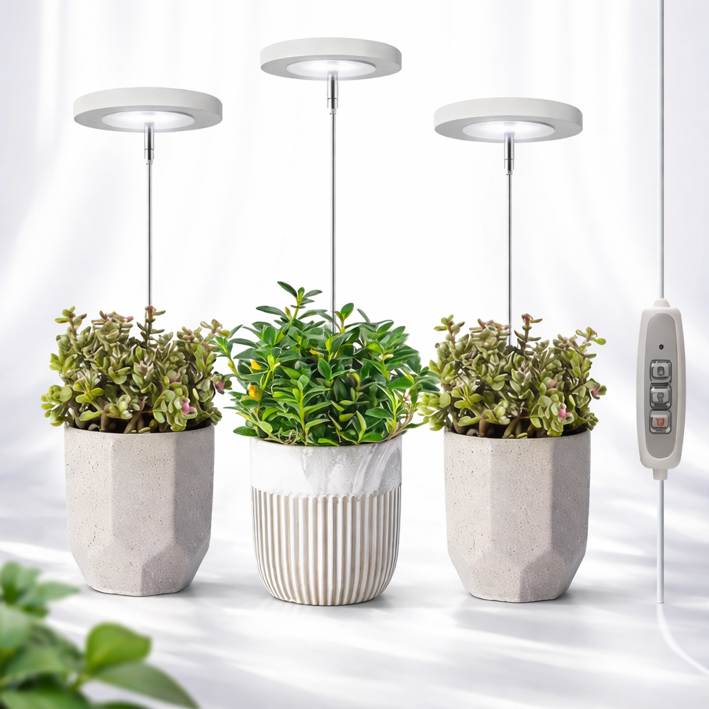 LumiSprout™ | Nur Heute 50% RABATT