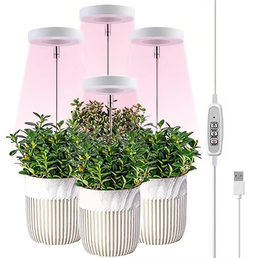 LumiSprout™ | Nur Heute 50% RABATT