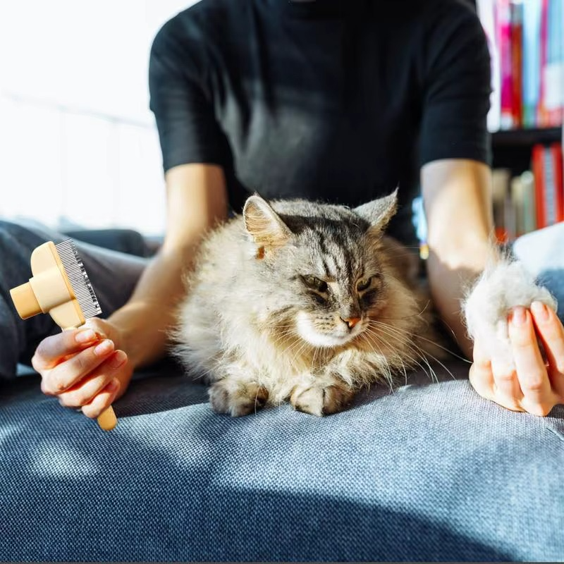 PeltEase Pro™ – Für glänzendes Fell & entspannte Tierpflege | 1 + 1 Gratis