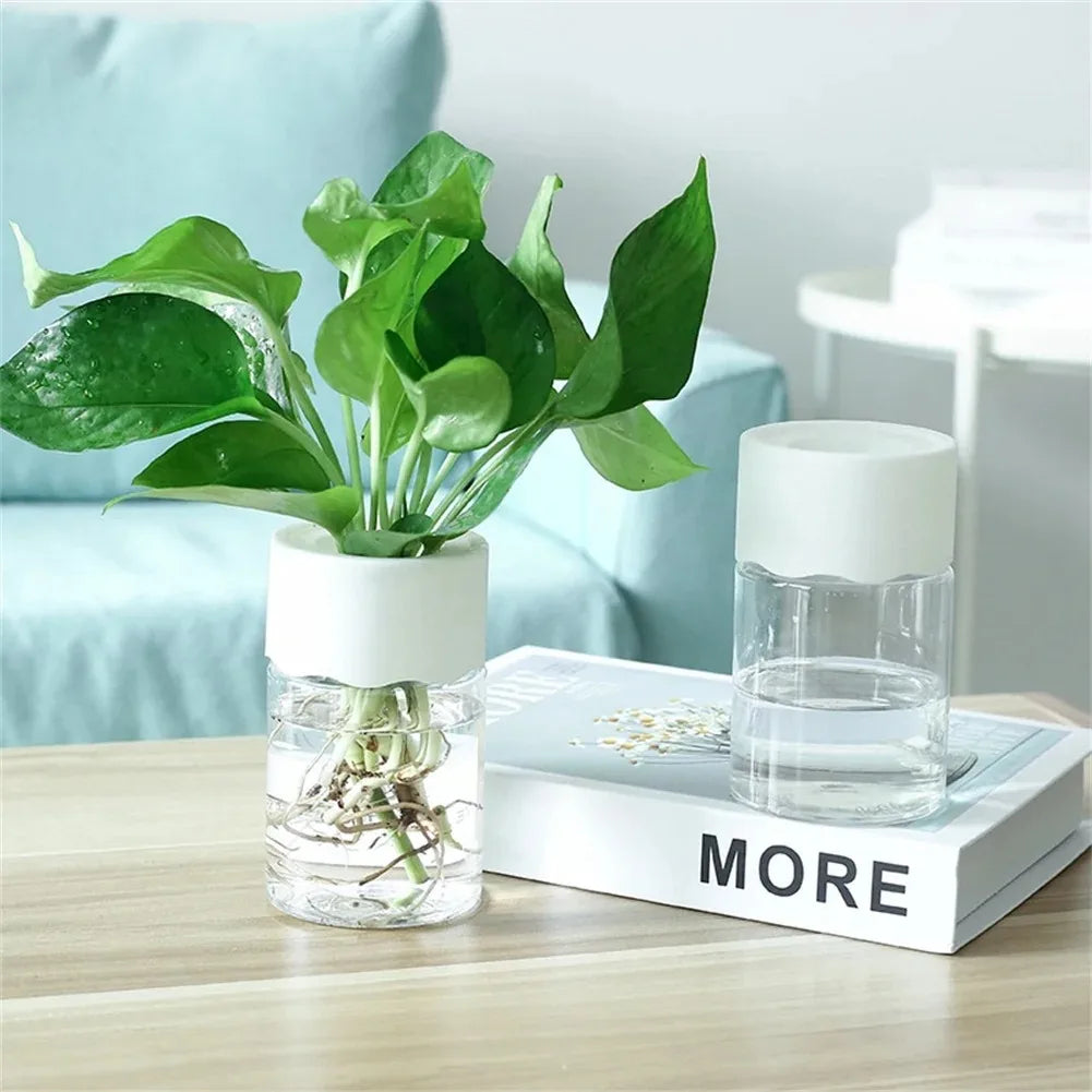 🌱 RootFlow™ – Selbstbewässernder Stecklings-Pflanztopf | 1+1 GRATIS