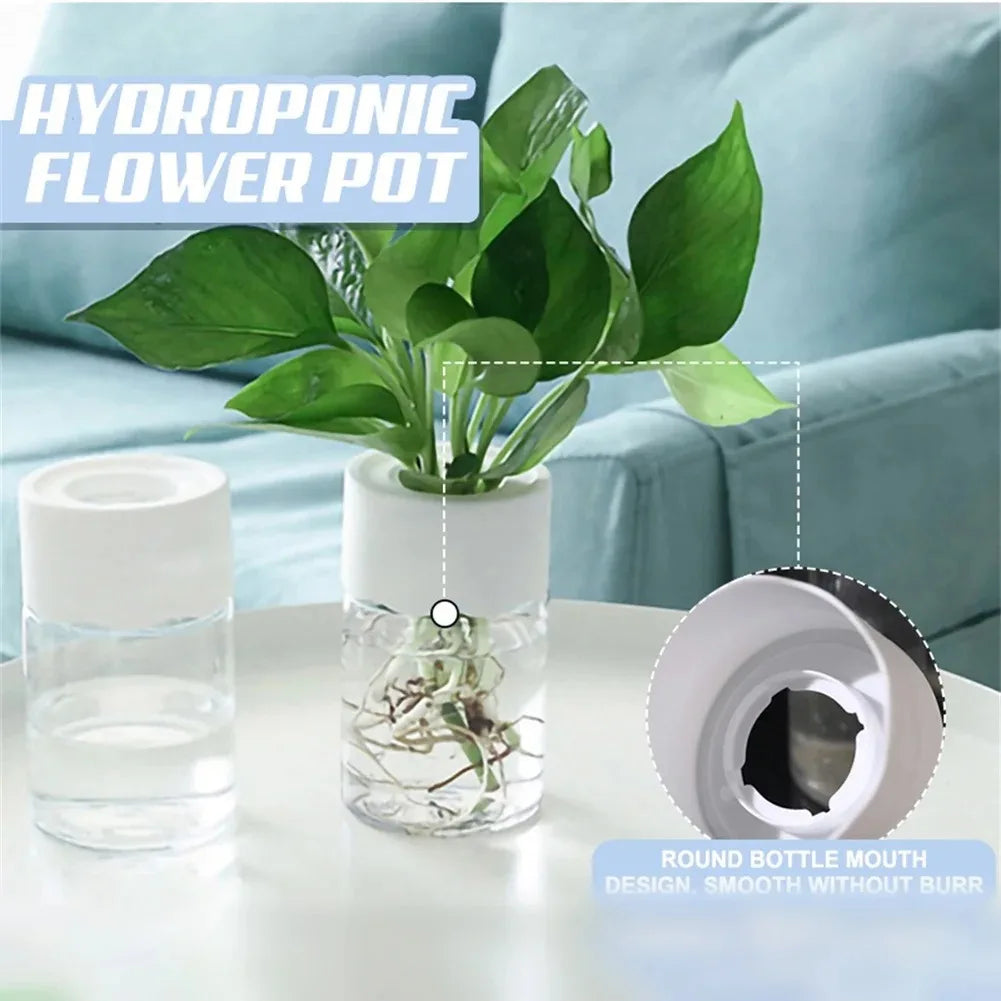 🌱 RootFlow™ – Selbstbewässernder Stecklings-Pflanztopf | 1+1 GRATIS