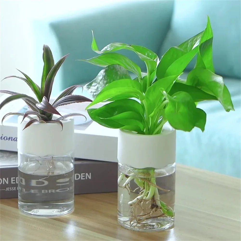🌱 RootFlow™ – Selbstbewässernder Stecklings-Pflanztopf | 1+1 GRATIS