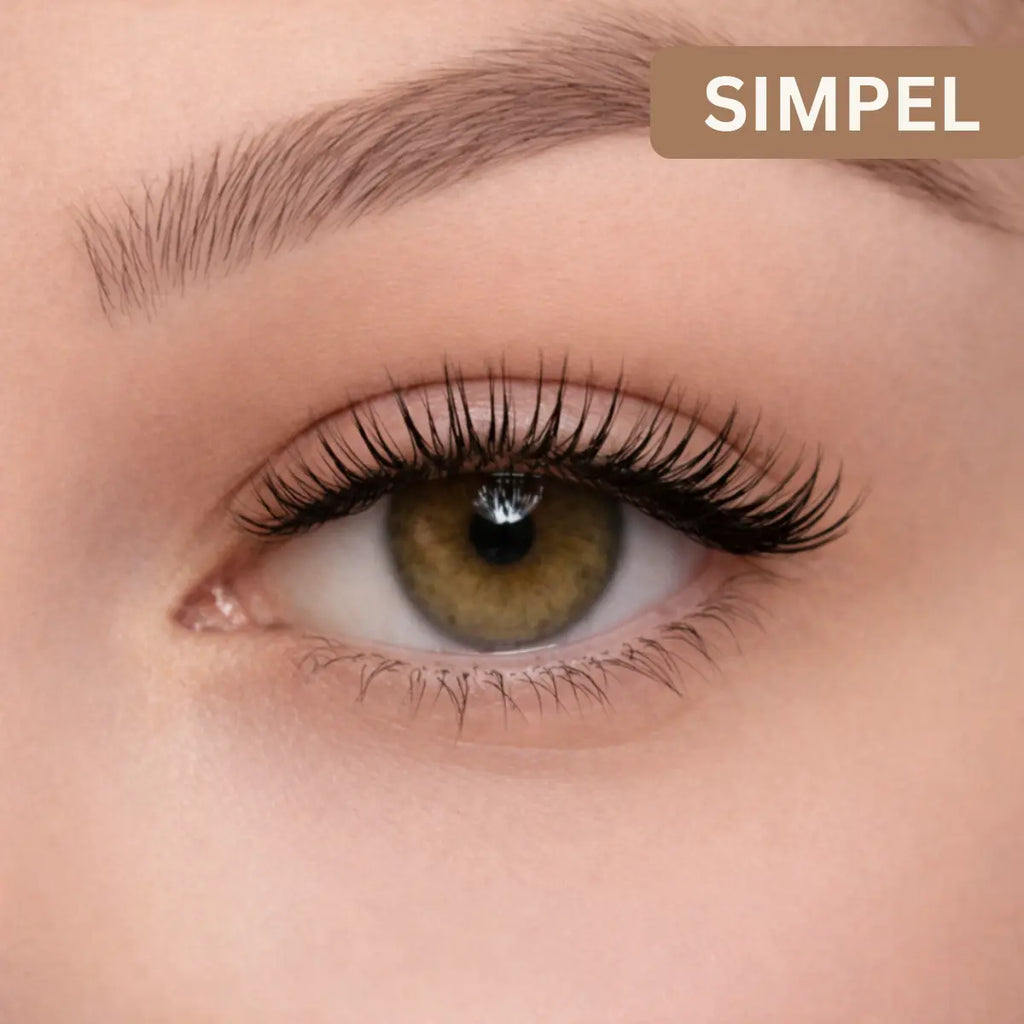 Lashéa™ PureMag Lashes – Magnetische Wimpern ohne Kleber [1+1 GRATIS]