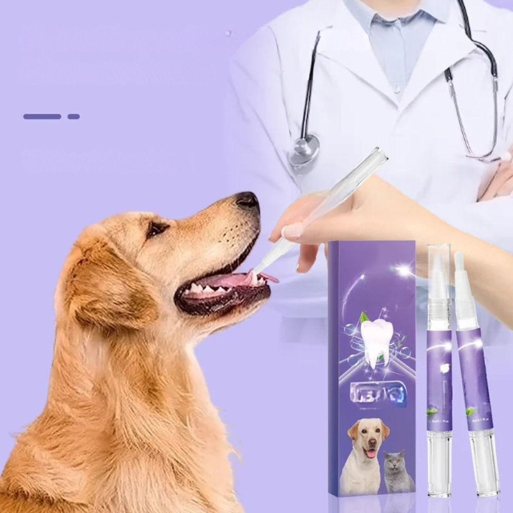 FreshPaws DentalGel™ – Sanfte Zahnpflege & frischer Atem für Ihr Haustier | 1+1 GRATIS