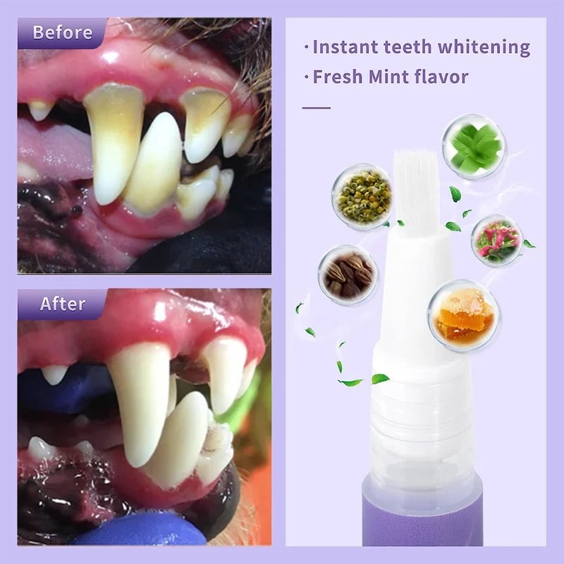 FreshPaws DentalGel™ – Sanfte Zahnpflege & frischer Atem für Ihr Haustier | 1+1 GRATIS