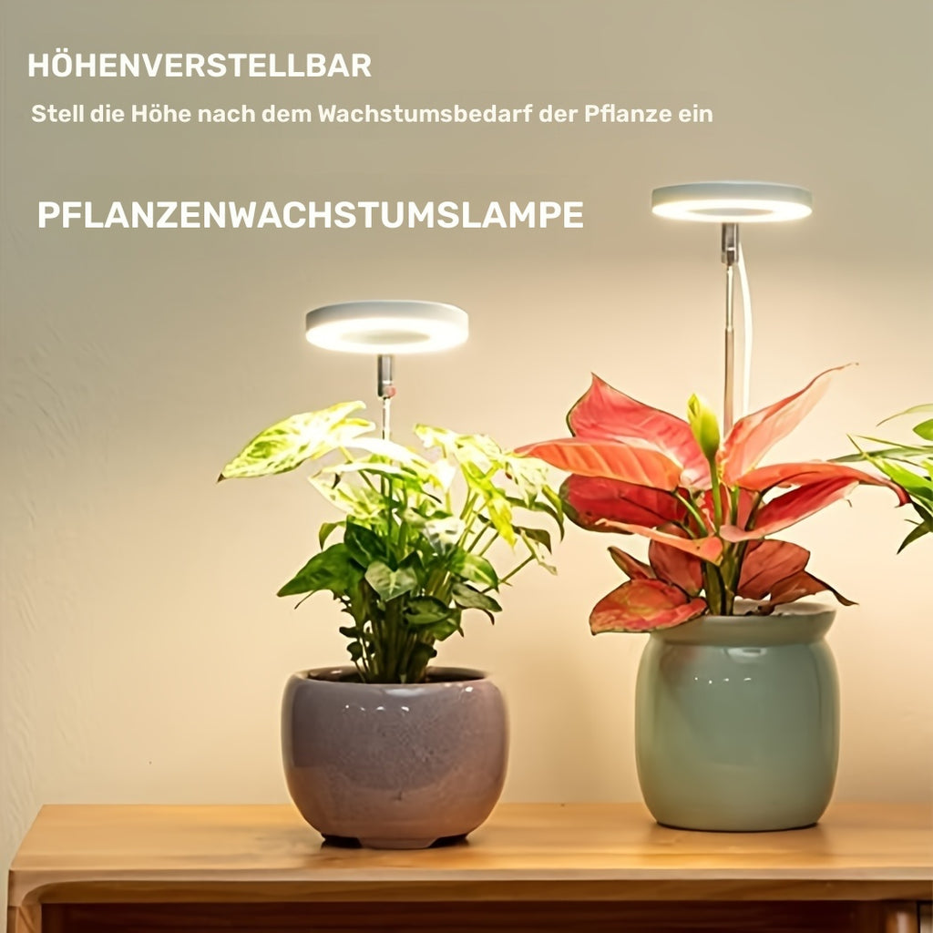 HaloAngel™ – Licht, das Ihre PflanzHaloAngel™ LED-Pflanzenlampe – Vollspektrum Licht für gesundes Wachstum | Nur Heute 50% RABATT
