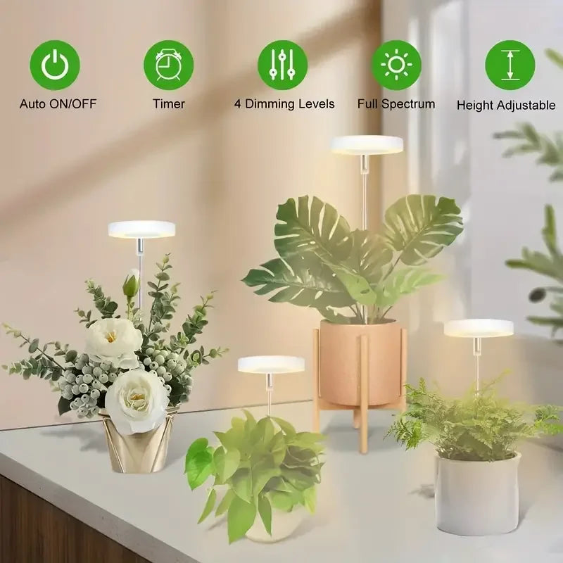 LumiSprout™ | Nur Heute 50% RABATT