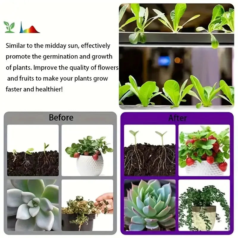 LumiSprout™ | Nur Heute 50% RABATT