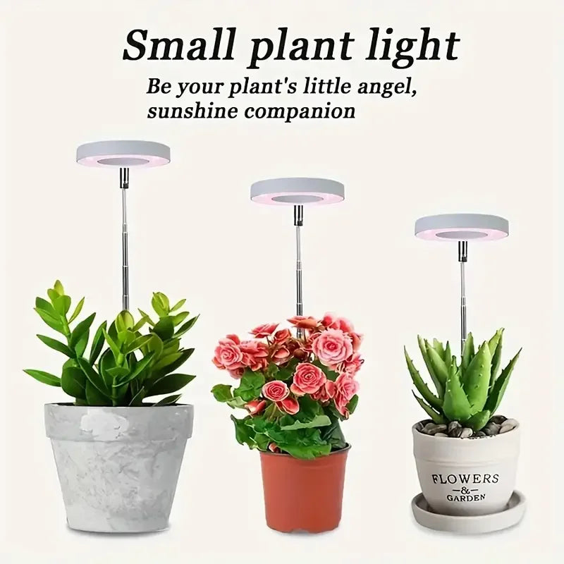 LumiSprout™ | Nur Heute 50% RABATT