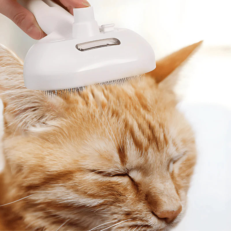 50% RABATT | SilkMist Groomer™ – Die sanfteste Bürste für glänzendes, gesundes Fell