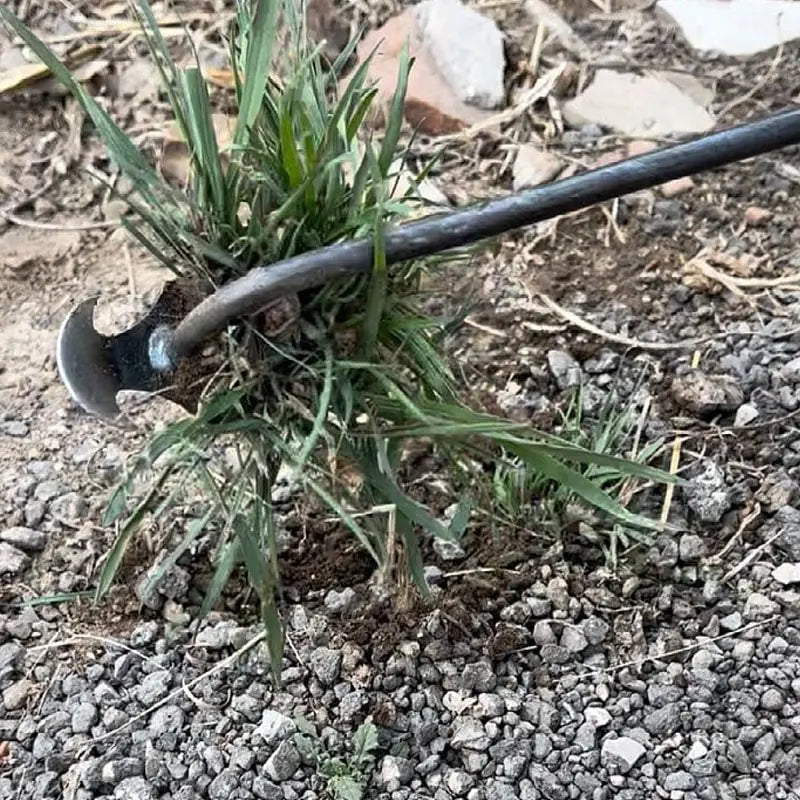 WeedMaster™ - Ihr ultimativer Unkrautentferner